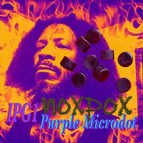 IPG1 - Purple Microdot (noxpox Mix)