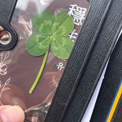 scream low! + yen!  (kittyflower + nightiger)