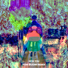 Oliver Tree & Robin Schulz - Miss You (Tom Budin Remix)