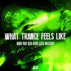 Ush - What Trance Feels Like Edit (Kick Mashup)