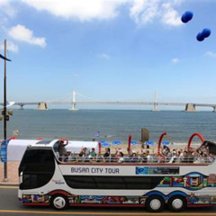 Review Special Price Fullday Ticket For Busan City Tour Bus