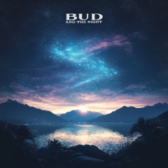 MitiS & RØRY - Try (Bud And The Night Remix)