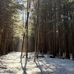 winter golf