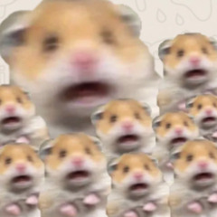 DNP