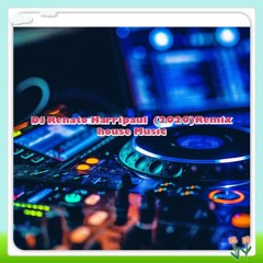 DJ Renato Harripaul (2020)Remix house Music