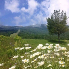 freak out! (very slowed + looped intro)