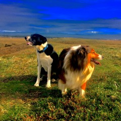 What can you do on a lazy day?