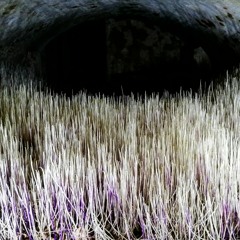 vaZdaZ - Keep Moving