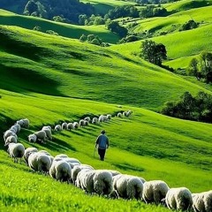 La_senda_de_vida. 🌷🌱🌹 Pathway Of Life 🌺🌱🌹