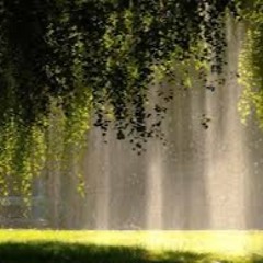 In the Sun