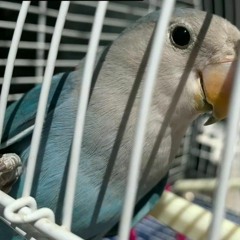 "PLAYERS" EL VIDEOCLIP DE 33BARRIO