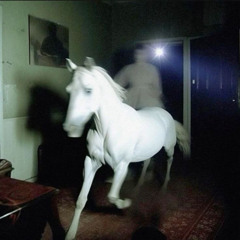 lethal weapon (9/30/24)