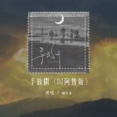 赵乃吉 - 手放开 (DJ阿智版)「我给你最后的疼爱是手放开 不要一张双人床」【動態歌詞/pīn yīn gē cí】#赵乃吉 #手放开 #動態歌詞