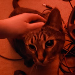 Ugritone drums mix test