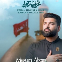 Ghareeb e Zahra (a.s)  --  Mesum Abbas  --  2024