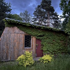 134 hillary-duff afx-xtal [edit]