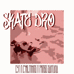 “ SkateDro” Feat. c$t, frxgs santana (prod. @c4rlinhxs)