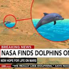 CITIZENS OF EARTH - SMOKES AND COFFEE ON MARZ. NOW WITH ADDED DOLPHINZ