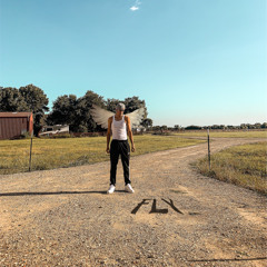 Fly