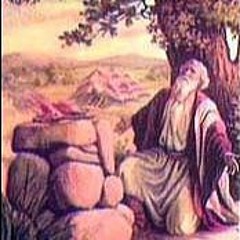 Noah And Abram And Their Trees Of Knowledge Of Good And Evil