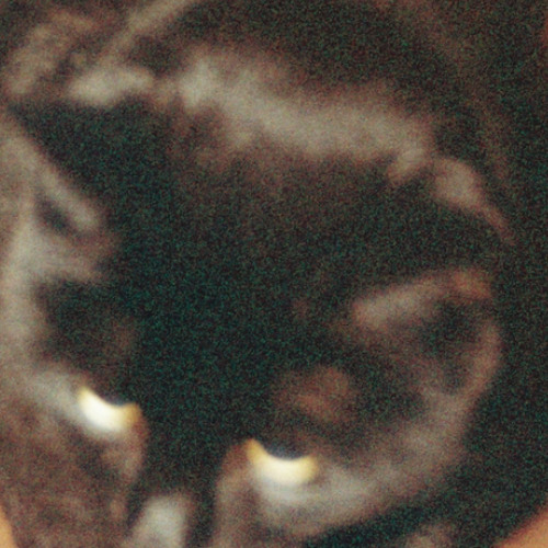 Mellotronloop 230228