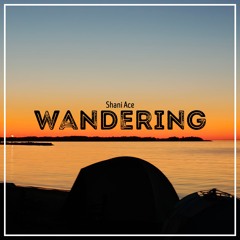 Wandering
