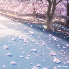 하얀 벚꽃잎이 불어오는 날 (White Cherry Blossom)