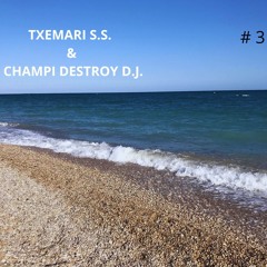 Champi 3