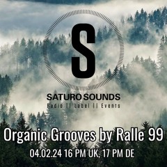 Organic Grooves by Ralle 99, 04.02.2025