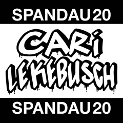 SPND20 Mixtape by Cari Lekebusch