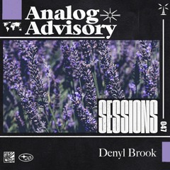 Analog Advisory Sessions 047: Denyl Brook