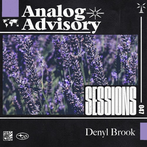 Analog Advisory Sessions 047: Denyl Brook