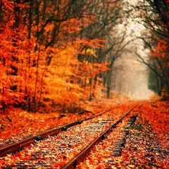 Autumn 2010  Mix - Prog Techno Psy Thing