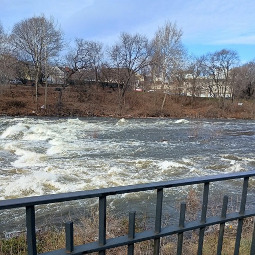 you have to let me go X jacob and the stone