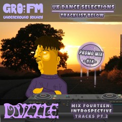 DIZZLE PROMOTIONAL MIX 014: INTROSPECTIVE AND ETHEREAL TRACKS PT.2 (FULL TRACKLIST BELOW)