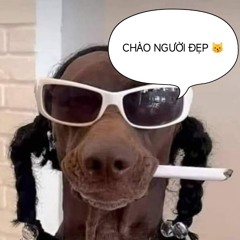 Untitled Playlist