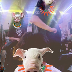 The Three Lil Pigs