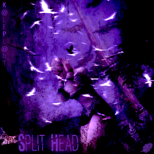 SPLIT HEAD