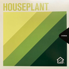 HOUSEPLANT - HYBRID