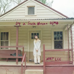 Nat Lee - D4 In South Nassau DEMO