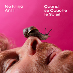 Quand se Couche le Soleil