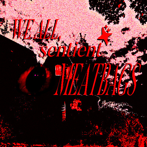 WE ALL, SENTIENT MEATBAGS