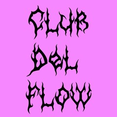 Club Del Flow / Mixtape