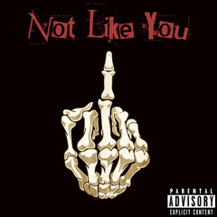 Not Like You feat. Purgin 2x (prod. Bliv Beat)