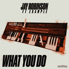 Jay Robinson Feat. Example - What You Do (Radio Edit)