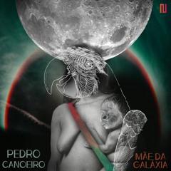 02 - Pedro Canoeiro Feat. Mestre Chuluca - Marimbondo