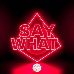 Keinemusik - Say What [Techlics Remix] (Extended Mix)