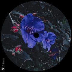 PREMIERE: Ron Deacon - East (Original Mix)