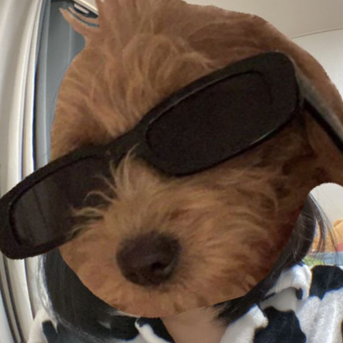 북극성 (never goodbye) sped up - NCT DREAM