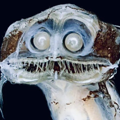 ARMARIO PARTORIO - SARVAKARMA (INSTRUMENTAL ROTTEN)